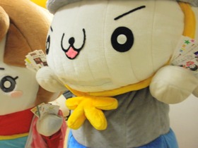 N! ꂵI